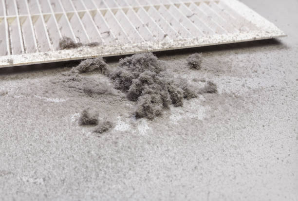 Best Affordable Duct Cleaning Services  in Ina, IL