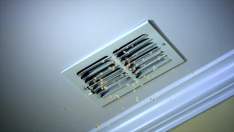 Best Residential Air Duct Cleaning  in Ina, IL