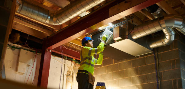 Best Professional Duct Cleaning Services  in Ina, IL