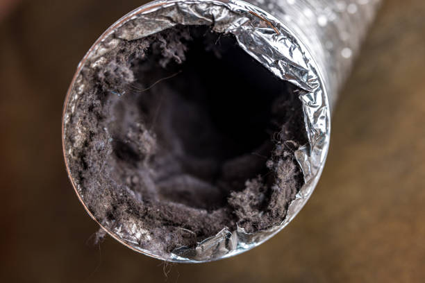 Best Air Vent Cleaning Services  in Ina, IL